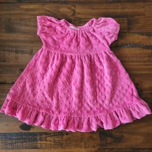 Lil Miss Muffin 18 Month Girls Vintage Pink Minky Dress Baby Infant Toddler